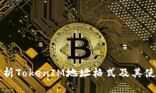 深入解析TokenIM地址格式及其使用指南