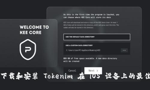 如何下载和安装 Tokenim 在 iOS 设备上的最佳指南