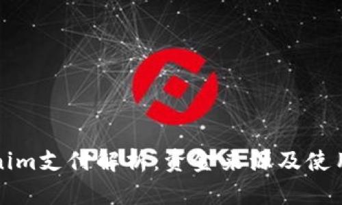Tokenim支付解析：资金来源及使用指南