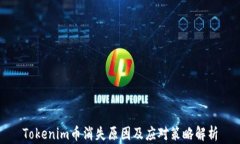 Tokenim币消失原因及应对策