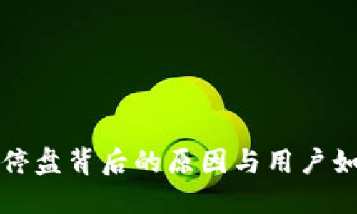 虚拟币停盘背后的原因与用户如何应对