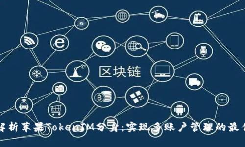 全面解析苹果TokenIM分身：实现多账户管理的最佳方案