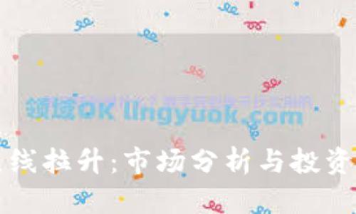 虚拟币直线拉升：市场分析与投资风险揭秘