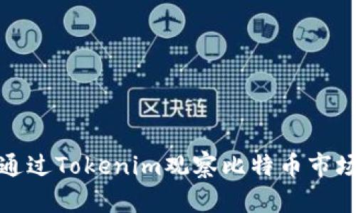 如何通过Tokenim观察比特币市场动态