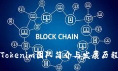 Tokenim团队简介与发展历程