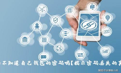  虚拟币创建人真的不知道自己钱包的密码吗？揭示密码丢失的真实案例与解决方案