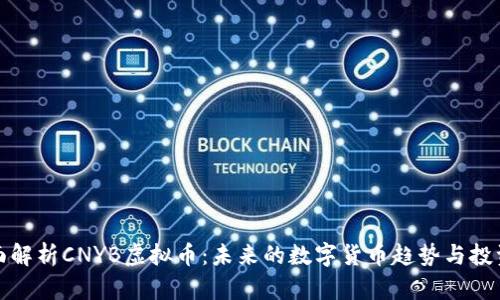 : 全面解析CNYB虚拟币：未来的数字货币趋势与投资潜力