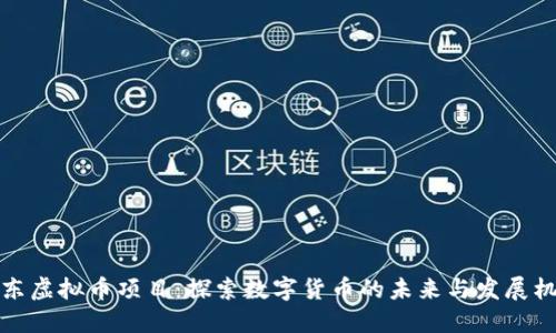 山东虚拟币项目：探索数字货币的未来与发展机遇