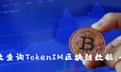 如何高效查询TokenIM区块链