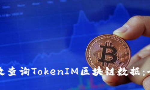如何高效查询TokenIM区块链数据：全面指南