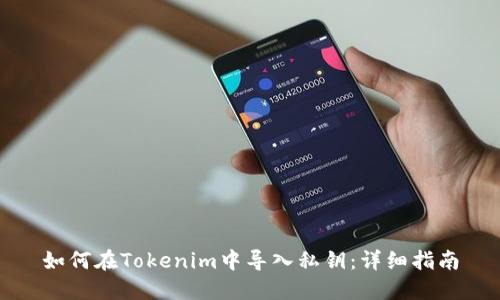 如何在Tokenim中导入私钥：详细指南