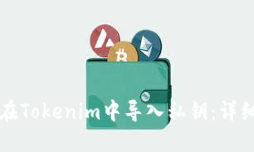 如何在Tokenim中导入私钥：详细指南