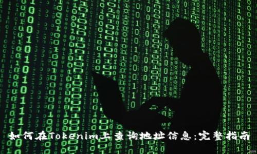 如何在Tokenim上查询地址信息：完整指南