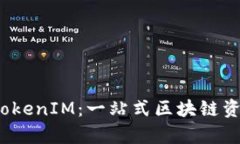  全面解析TokenIM：一站式区