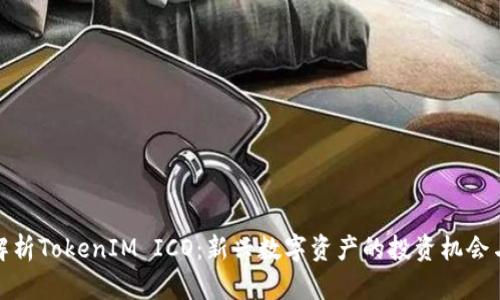 全面解析TokenIM ICO：新兴数字资产的投资机会与风险
