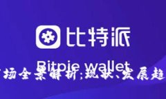 国内虚拟币市场全景解析