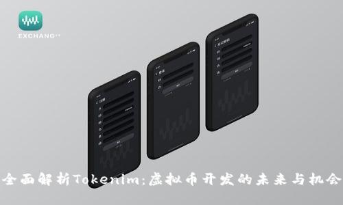 全面解析Tokenim：虚拟币开发的未来与机会