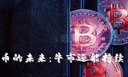 虚拟币的未来：牛市还能持续多久？