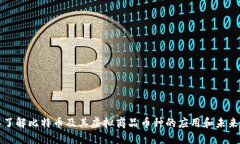 深入了解比特币及其虚拟商品币种的应用和未来