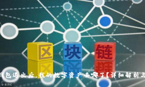 Tokenim钱包退出后，我的数字资产去哪了？详细解析与解决方案