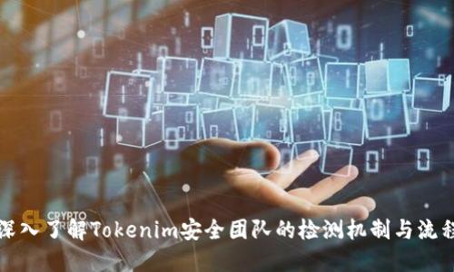 深入了解Tokenim安全团队的检测机制与流程