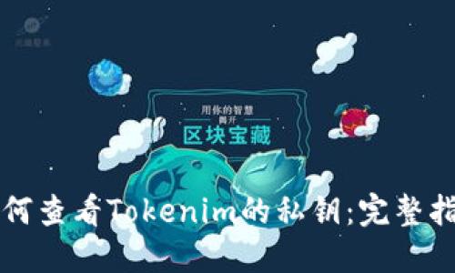 如何查看Tokenim的私钥：完整指南