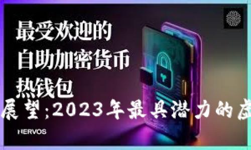 虚拟币前景展望：2023年最具潜力的虚拟货币分析